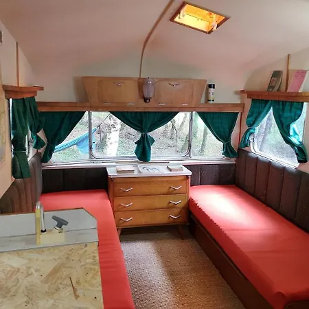 Vintage Caravan In The Woods * Chassiecq