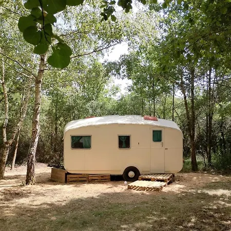 Vintage Caravan In The Woods Chassiecq