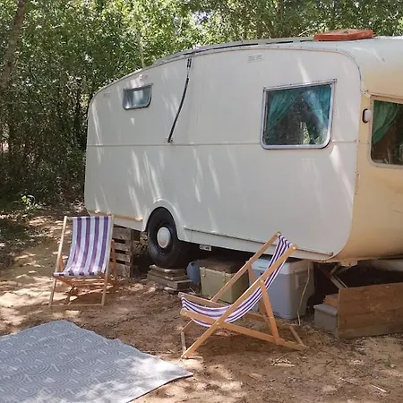 Vintage Caravan In The Woods Chassiecq