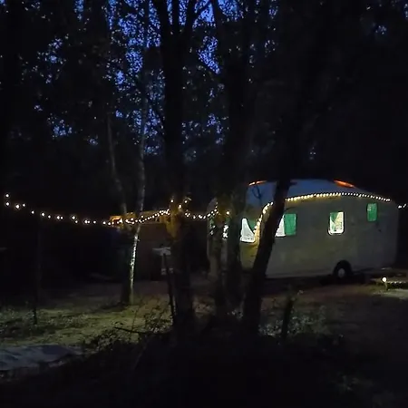 Vintage Caravan In The Woods 公寓 *