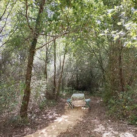 公寓 Vintage Caravan In The Woods *