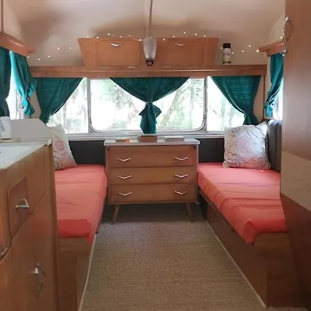 Vintage Caravan In The Woods 公寓 *