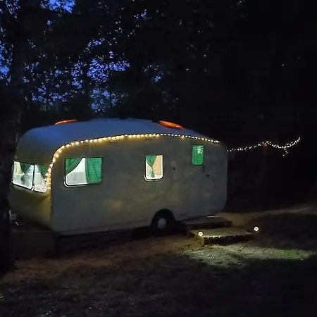 Апартаменты Vintage Caravan In The Woods *