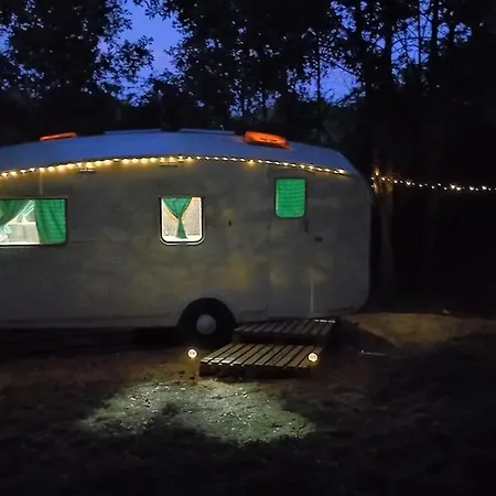 Vintage Caravan In The Woods *