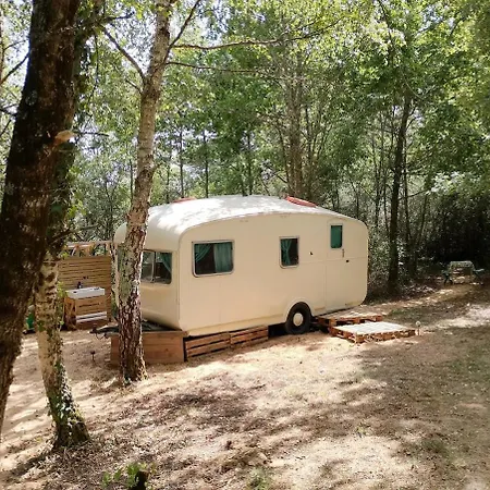 Vintage Caravan In The Woods Chassiecq