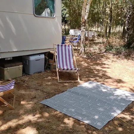 公寓 Vintage Caravan In The Woods Chassiecq