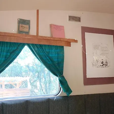Vintage Caravan In The Woods * Chassiecq