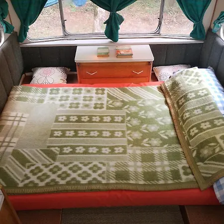 Vintage Caravan In The Woods