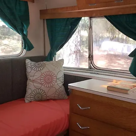 Vintage Caravan In The Woods 公寓