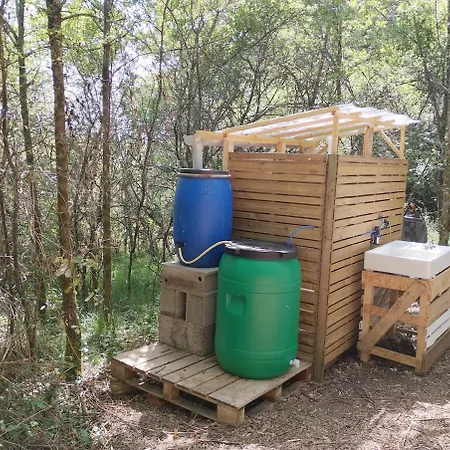 Vintage Caravan In The Woods *