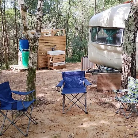 Апартаменты Vintage Caravan In The Woods *