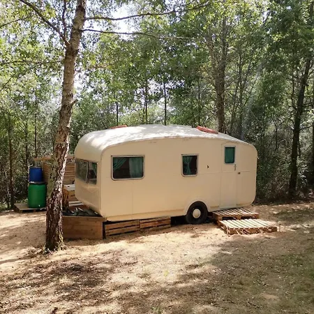 Vintage Caravan In The Woods *